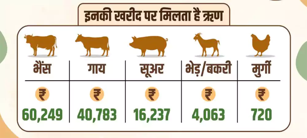 haryana pashu loan scheme